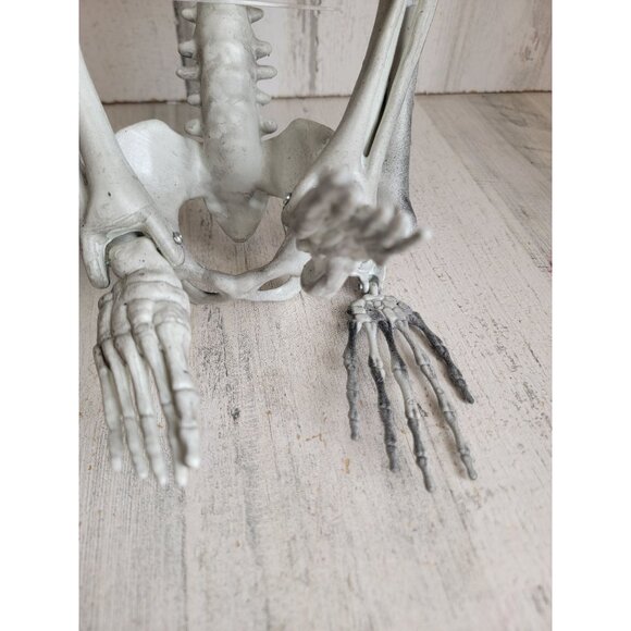 Skeleton prop bone hanging Halloween home decor skull scary - Picture 3 of 12